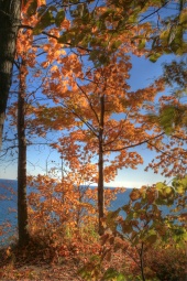 resized_fall08_10.jpg